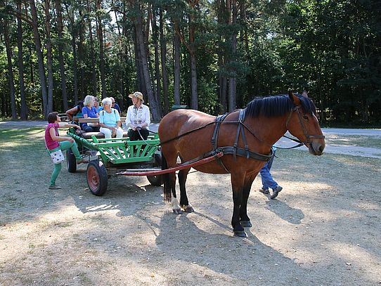 Open Carriage open carriage