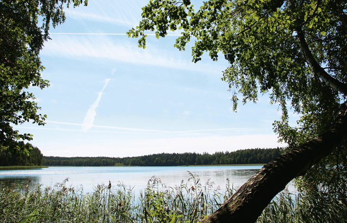 Route 11 - Birken und Bernstein